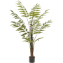 Paprotka 150 cm