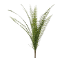Paprotka 60 cm pik