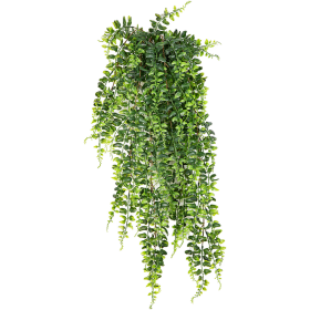 Paprotka 75 cm