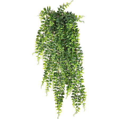Paprotka 75 cm