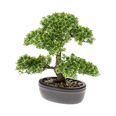 Fikus Bonsai 32 cm z doniczką