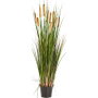 Trawa Tatarak Pałka Wodna 120 cm
