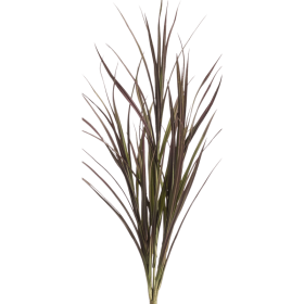 Trawa Bordowa Vertigo 90 cm UV