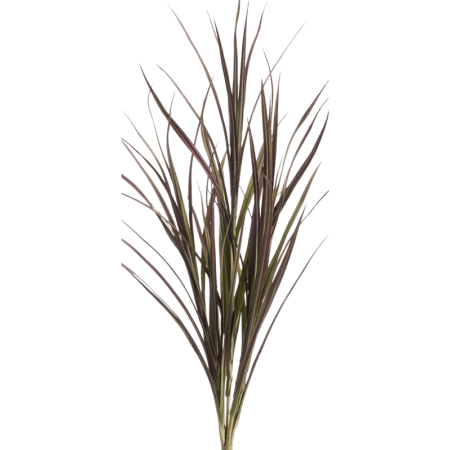 Trawa Bordowa Vertigo 90 cm UV
