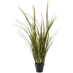 Trawa Rozplenica 90 cm