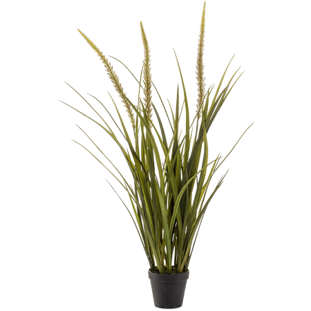 Trawa Rozplenica 90 cm