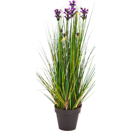 Trawa Lawenda 60 cm