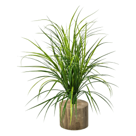 Trawa 75 cm pik