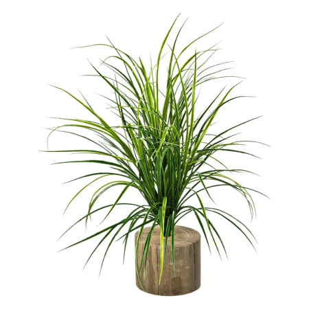 Trawa 75 cm pik