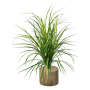 Trawa 75 cm pik