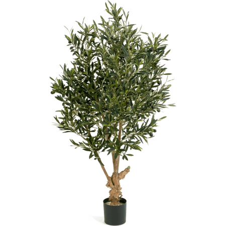 Drzewko Oliwne z owocami 120 cm