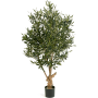 Drzewko Oliwne z owocami 120 cm