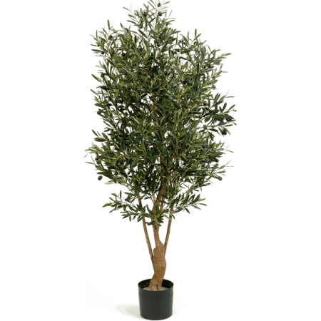 Drzewko Oliwne z owocami 150 cm