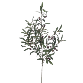 Gałązka oliwna 100 cm