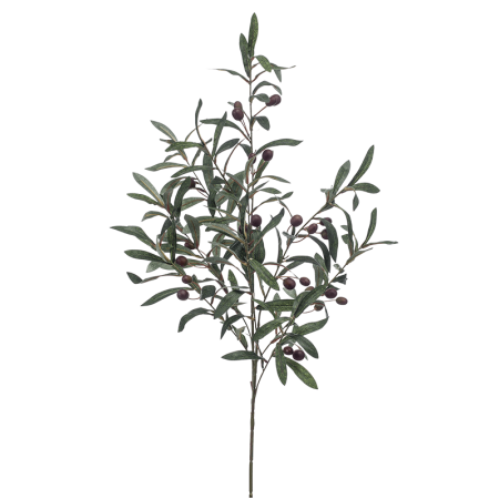 Gałązka oliwna 100 cm