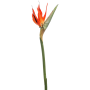 Strelicja kwiat 85 cm