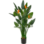 Strelicja 150 cm