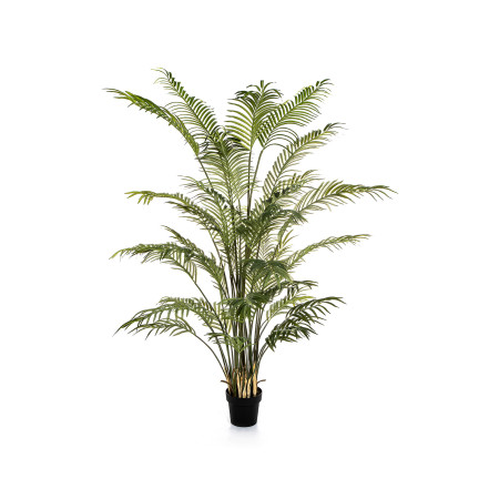 Palma Forest Areka 205 cm