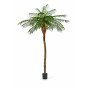 Palma Phoenix De Luxe od 225 do 280cm