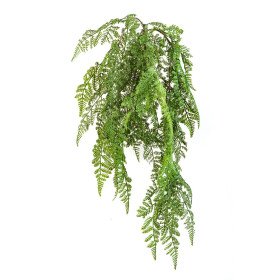 Wiszący krzew paproci drzewnej 60 cm