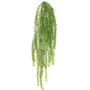 Paproć wisząca 70 cm