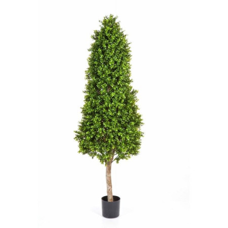 Drzewo wieży bukszpanowej  140 cm