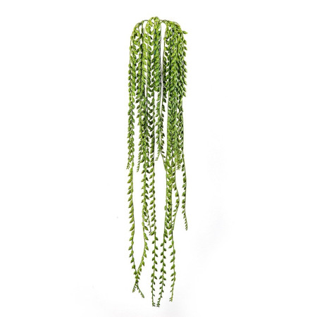 Wiszący krzew Senecio ognioodporny 85 cm