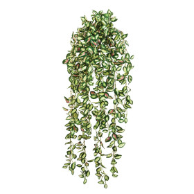 Wiszący krzew Hoya 85 cm