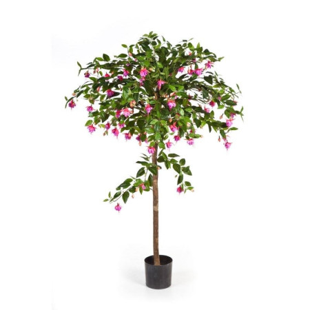 Fuksjowe Drzewo Parasolowe 140cm