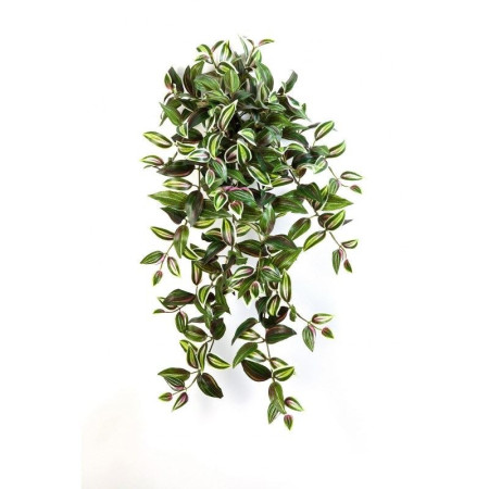 Wiszący krzew Żyda 70 cm