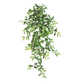 Wiszący krzew Tradescantia 105 cm