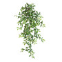 Wiszący krzew Tradescantia 105 cm