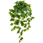 Epipremnum Wiszące Liście 90 cm