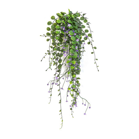 Wiszący krzew Dichondra fioletowy UV 58 cm