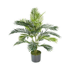 Palma Areca 90 cm