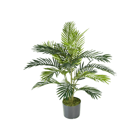 Palma Areca 90 cm