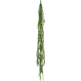 Epiphyllum Wiszący Busch 125 cm