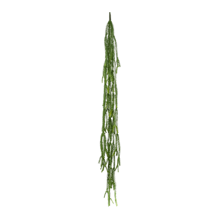 Epiphyllum Wiszący Busch 125 cm
