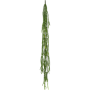 Epiphyllum Wiszący Busch 125 cm