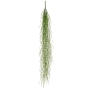 Trawa fasolowa 166 cm
