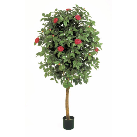 Drzewko Camelia 170cm