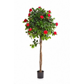 Drzewko Camelia 130cm