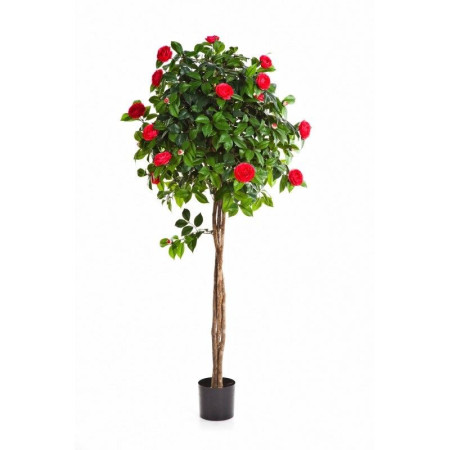 Drzewko Camelia 130cm