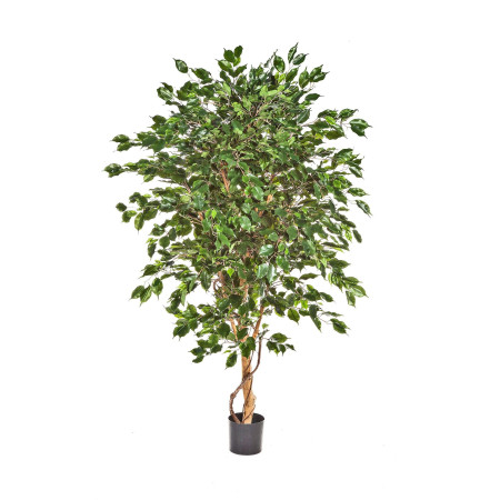Ficus Deluxe Exotic 150cm