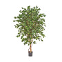 Ficus Deluxe Exotic 150cm